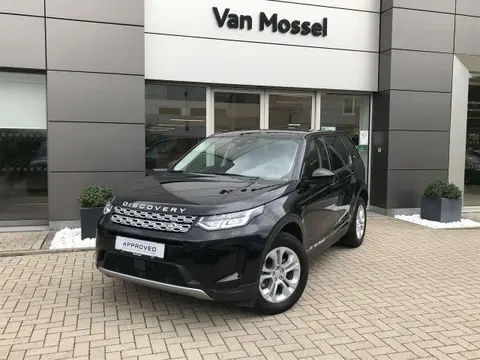 Annonce LAND ROVER DISCOVERY Diesel 2022 d'occasion 