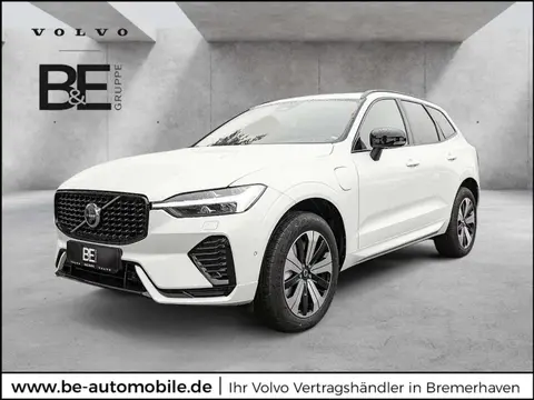 Used VOLVO XC60 Hybrid 2024 Ad 