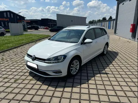 Used VOLKSWAGEN GOLF Diesel 2017 Ad 