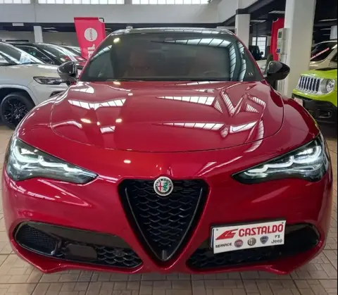 Annonce ALFA ROMEO STELVIO Diesel 2023 d'occasion 