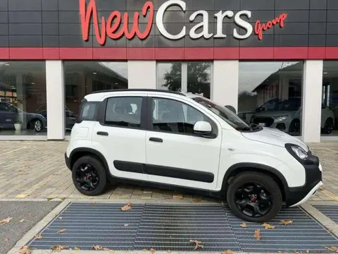 Used FIAT PANDA Hybrid 2023 Ad 