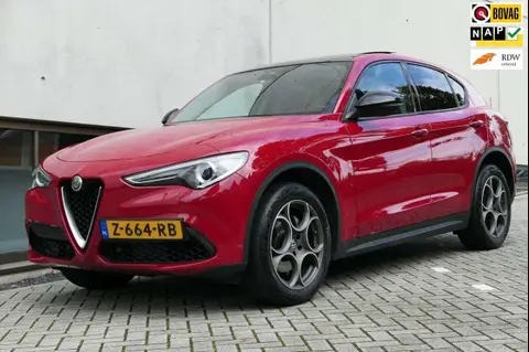 Used ALFA ROMEO STELVIO Petrol 2018 Ad 