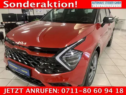 Used KIA SPORTAGE Hybrid 2024 Ad Germany