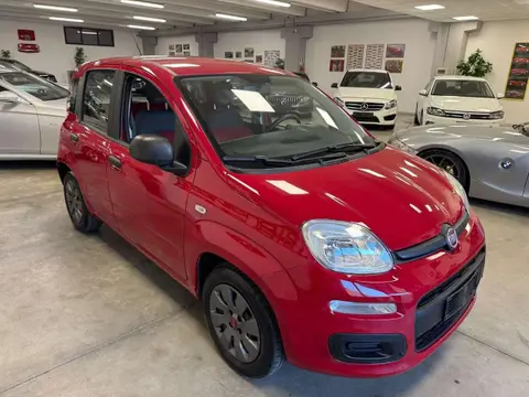 Annonce FIAT PANDA Essence 2016 d'occasion 