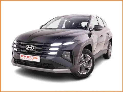 Annonce HYUNDAI TUCSON Hybride 2024 d'occasion 