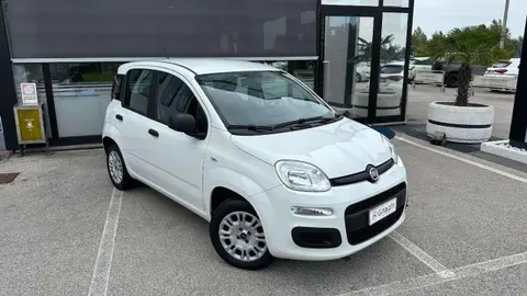 Annonce FIAT PANDA Essence 2018 d'occasion 