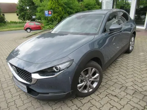 Used MAZDA CX-30 Petrol 2019 Ad 