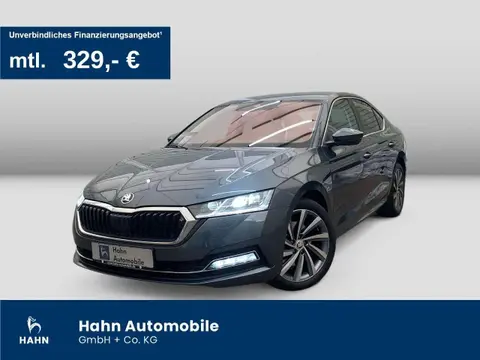 Annonce SKODA OCTAVIA Diesel 2020 d'occasion 