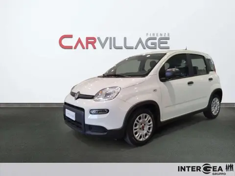 Used FIAT PANDA Hybrid 2022 Ad 