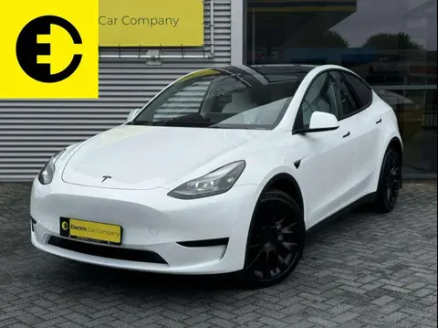 Used TESLA MODEL Y Electric 2023 Ad 