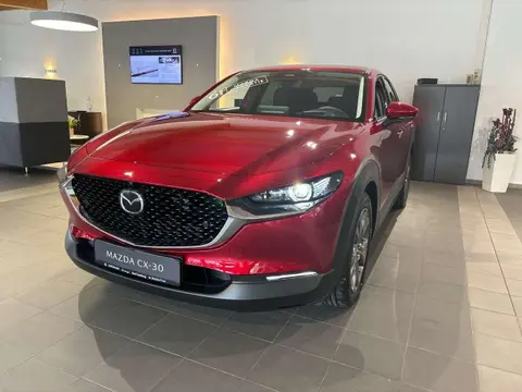 Annonce MAZDA CX-30 Hybride 2024 d'occasion 