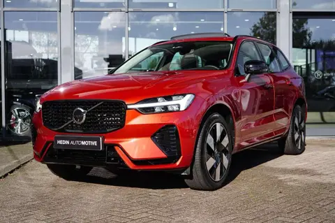 Annonce VOLVO XC60 Hybride 2024 d'occasion 