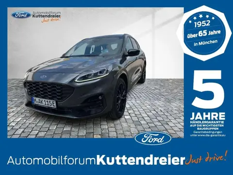 Annonce FORD KUGA Hybride 2024 d'occasion 