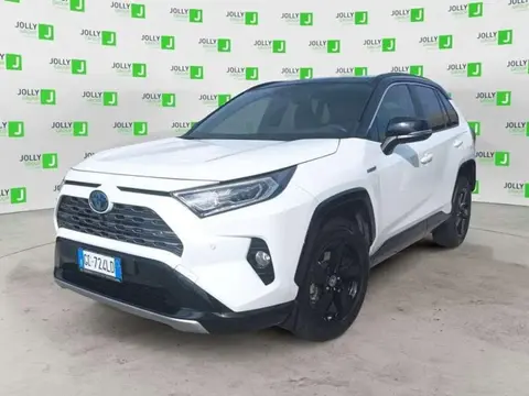 Used TOYOTA RAV4 Hybrid 2021 Ad 