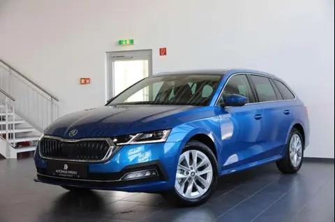 Annonce SKODA OCTAVIA Essence 2024 d'occasion 