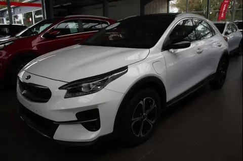 Used KIA XCEED Hybrid 2021 Ad 