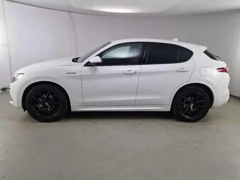 Used ALFA ROMEO STELVIO Diesel 2020 Ad 