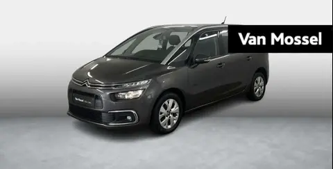 Used CITROEN C4 Petrol 2021 Ad 