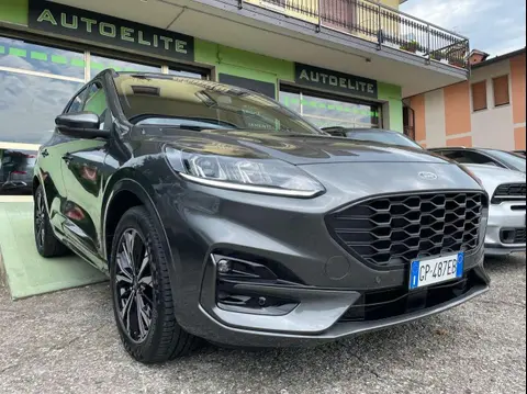 Annonce FORD KUGA Hybride 2023 d'occasion 