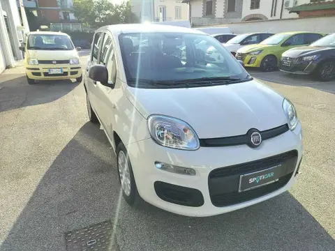 Annonce FIAT PANDA Essence 2018 d'occasion 