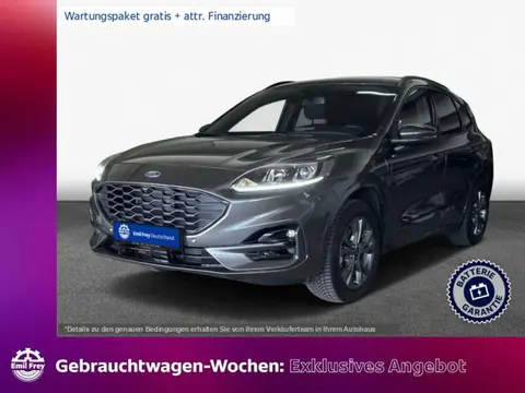 Used FORD KUGA Hybrid 2022 Ad 