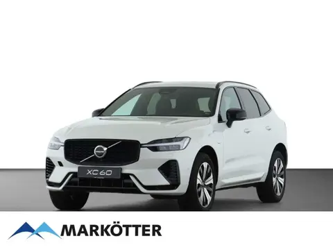 Annonce VOLVO XC60 Hybride 2024 d'occasion 