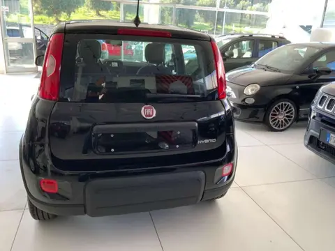 Used FIAT PANDA Hybrid 2024 Ad 