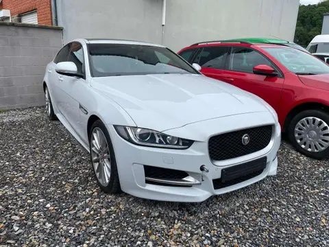 Annonce JAGUAR XE Diesel 2015 d'occasion 