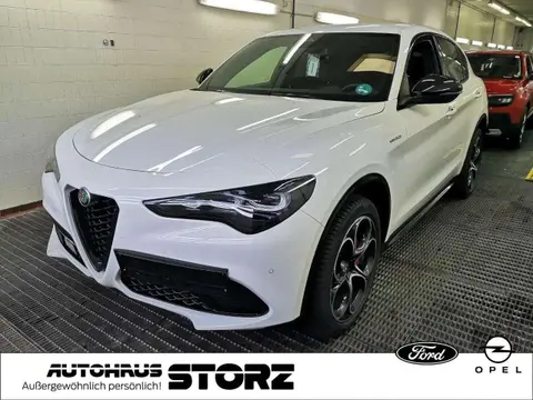 Used ALFA ROMEO STELVIO Petrol 2024 Ad 