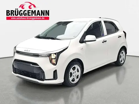 Annonce KIA PICANTO Essence 2024 d'occasion 