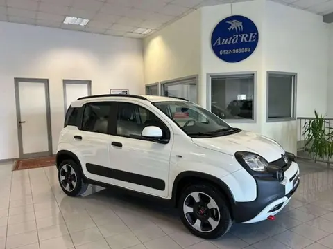 Annonce FIAT PANDA Hybride 2024 d'occasion 