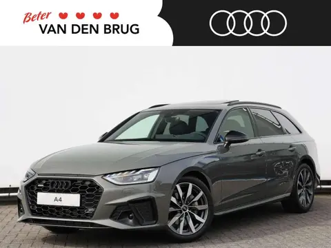 Annonce AUDI A4 Essence 2024 d'occasion 