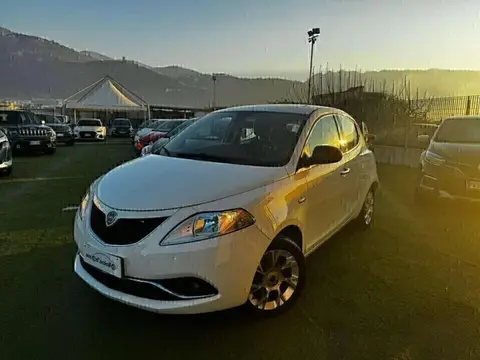 Used LANCIA YPSILON Diesel 2017 Ad 