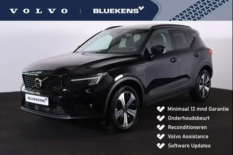 Used VOLVO XC40 Hybrid 2022 Ad 