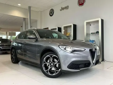 Used ALFA ROMEO STELVIO Diesel 2019 Ad 