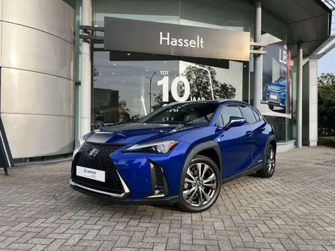 Used LEXUS UX Hybrid 2020 Ad 