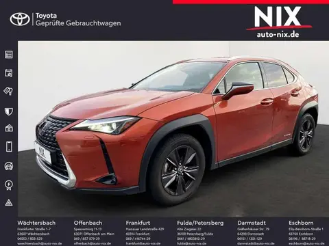 Annonce LEXUS UX Hybride 2020 d'occasion 