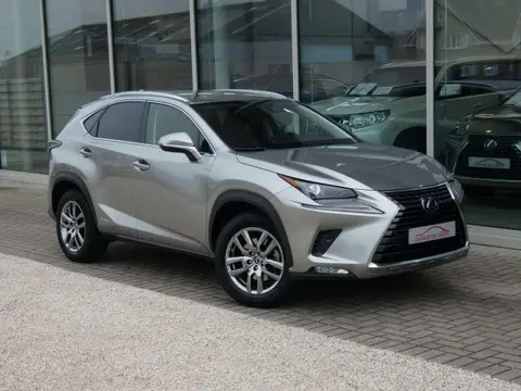 Used LEXUS NX Hybrid 2021 Ad 