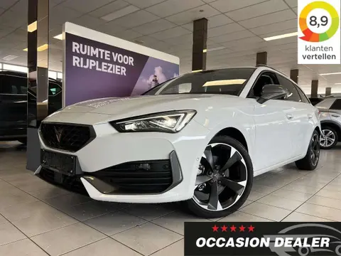 Annonce CUPRA LEON Essence 2023 d'occasion 