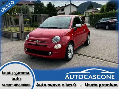 Used FIAT 500 Petrol 2023 Ad 