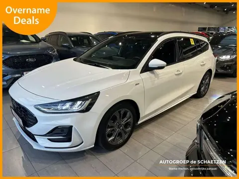 Annonce FORD FOCUS Hybride 2023 d'occasion 