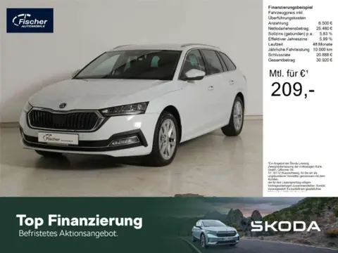 Used SKODA OCTAVIA Petrol 2024 Ad 