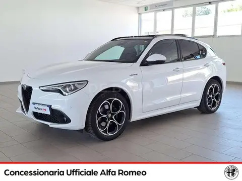 Used ALFA ROMEO STELVIO Diesel 2021 Ad 