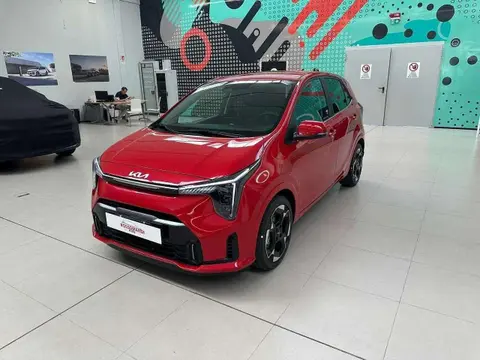 Used KIA PICANTO Petrol 2024 Ad 