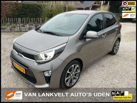 Used KIA PICANTO Petrol 2018 Ad 