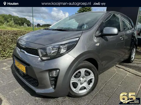 Used KIA PICANTO Petrol 2022 Ad 