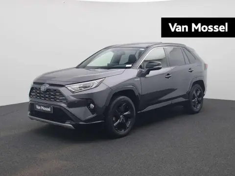 Annonce TOYOTA RAV4 Hybride 2020 d'occasion 