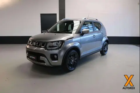 Annonce SUZUKI IGNIS Hybride 2024 d'occasion 