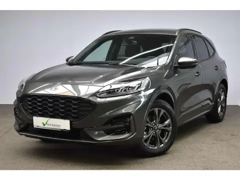 Used FORD KUGA Hybrid 2023 Ad 