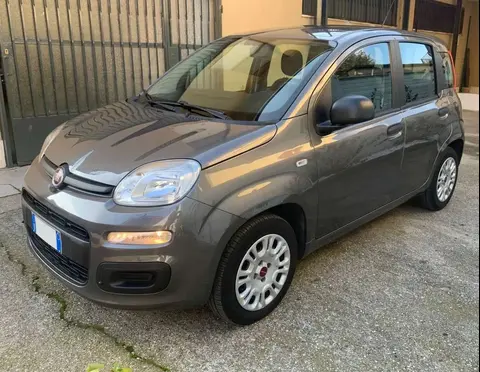 Used FIAT PANDA Petrol 2019 Ad 